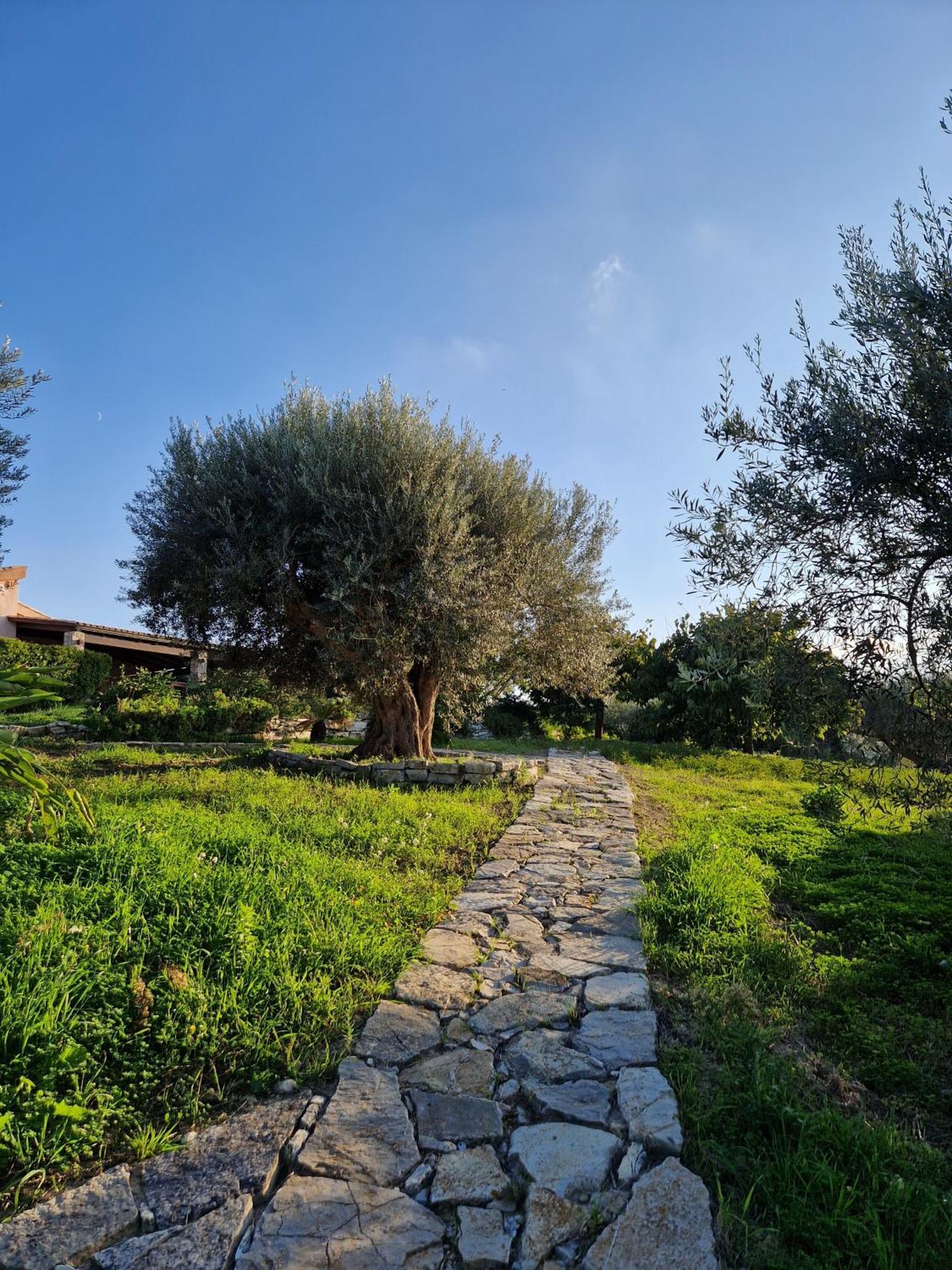 Villa Del Carrubo A Due Passi Dal Mare Di Cefalu Collesano Exterior foto