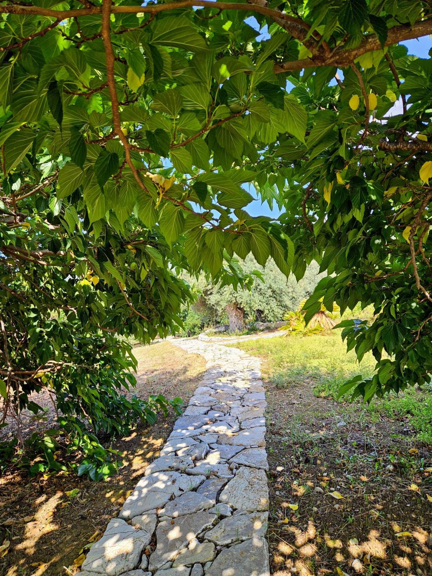 Villa Del Carrubo A Due Passi Dal Mare Di Cefalu Collesano Exterior foto