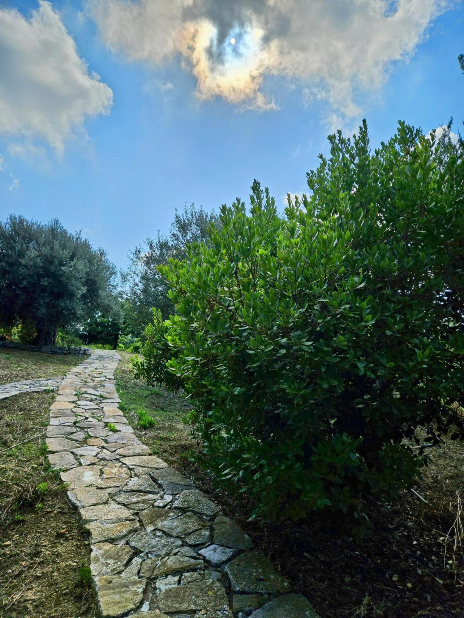 Villa Del Carrubo A Due Passi Dal Mare Di Cefalu Collesano Exterior foto